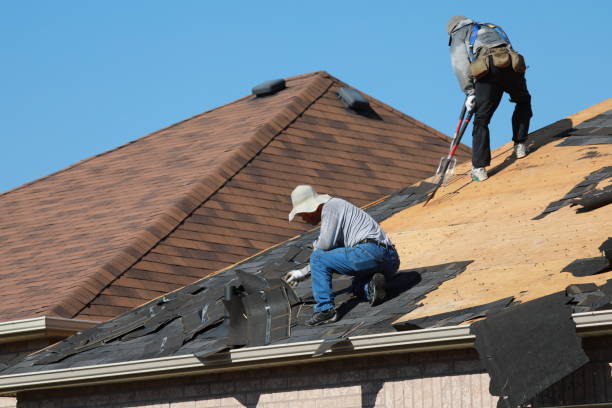 Best Roof Coating and Sealing  in Edgeworth, PA